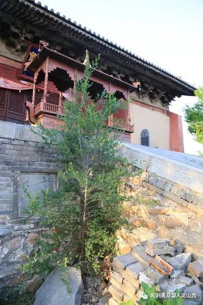 钧旨什么意思_钧旨的拼音_钧旨