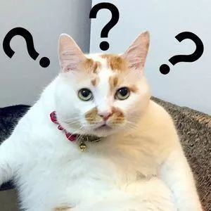 熏_艾条熏房间多久熏一次_艾草熏肚脐怎么熏图片