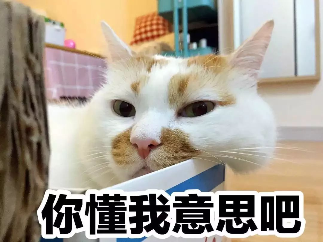 艾草熏肚脐怎么熏图片_熏_艾条熏房间多久熏一次