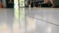 踩奶_踩奶是猫咪什么行为_踩奶是猫咪的什么生理现象