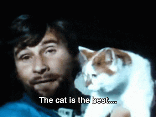 踩奶_踩奶是猫咪的什么生理现象_踩奶是猫咪什么行为