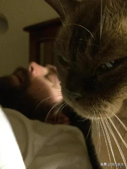 踩奶_踩奶是猫咪什么行为_踩奶是猫咪的什么生理现象