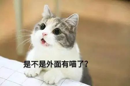 suckingup翻译_sucking英语是什么意思_sucking