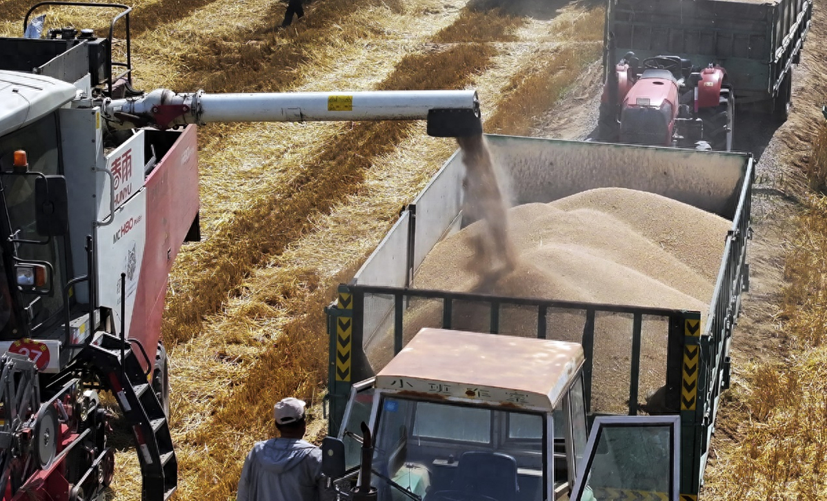 grains_grain翻译_grain
