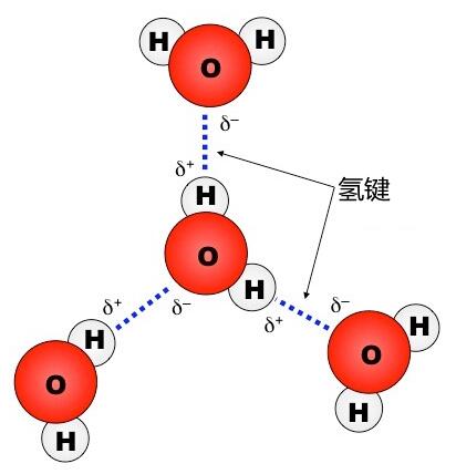 刀酱_刀哥刀哥刀哥那是什么刀_刀