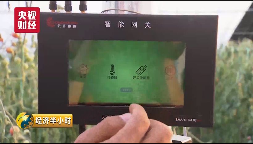 蔬菜出口_蔬菜出口需要什么手续_蔬菜出口贸易怎么做