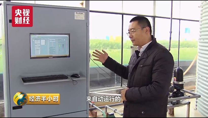 蔬菜出口贸易怎么做_蔬菜出口需要什么手续_蔬菜出口