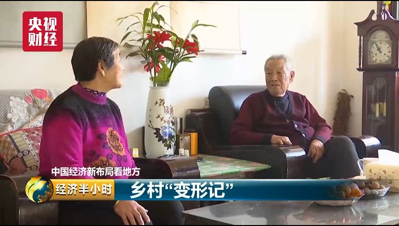 蔬菜出口_蔬菜出口贸易怎么做_蔬菜出口需要什么手续