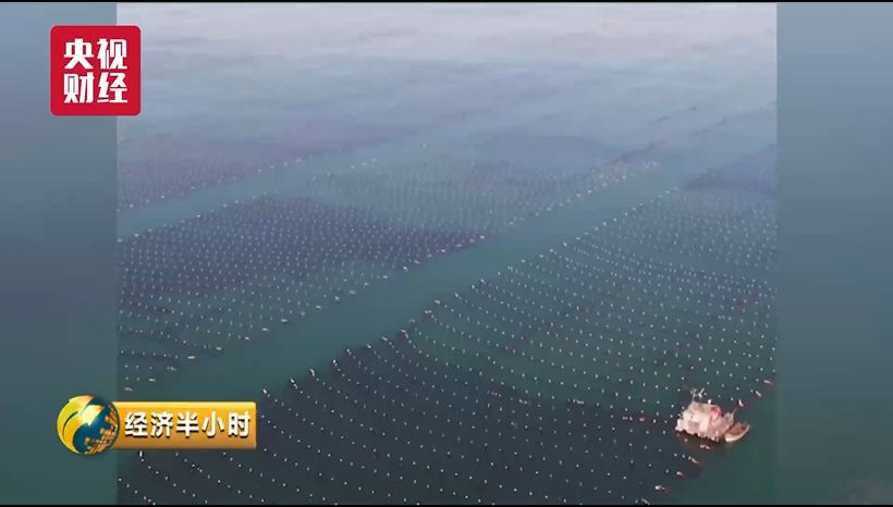 蔬菜出口_蔬菜出口需要什么手续_蔬菜出口贸易怎么做