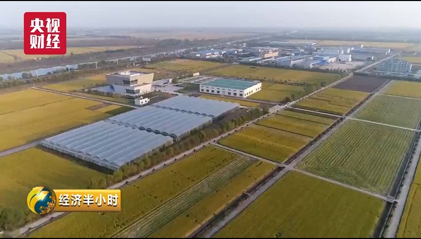 蔬菜出口贸易怎么做_蔬菜出口_蔬菜出口需要什么手续