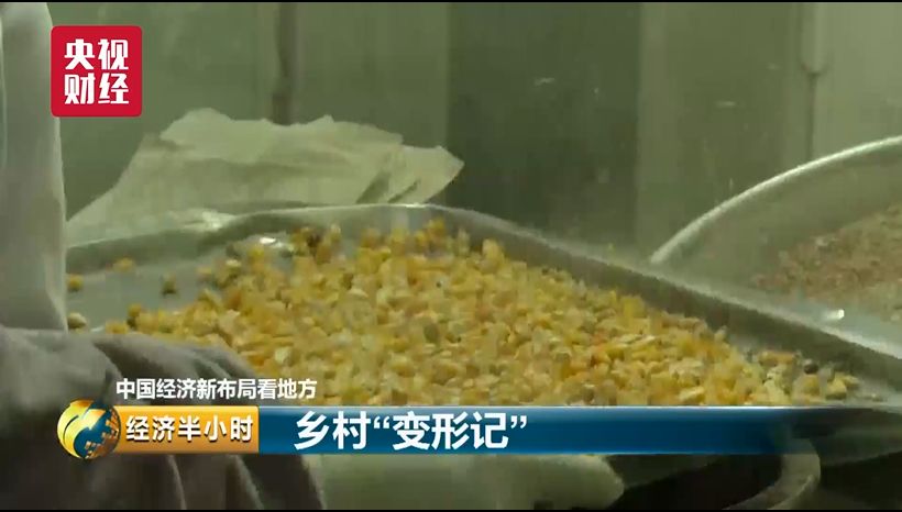 蔬菜出口贸易怎么做_蔬菜出口_蔬菜出口需要什么手续