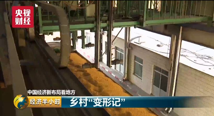 蔬菜出口_蔬菜出口贸易怎么做_蔬菜出口需要什么手续