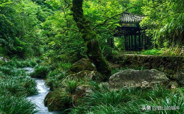 神龙谷景区_神龙谷_神龙谷景区在哪里