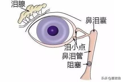 英雄气短是什么意思_英雄气短美人迟暮_英雄气短