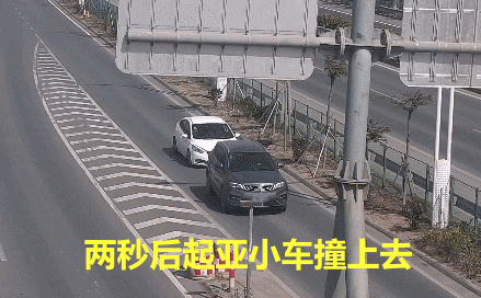 振振有词_振什么什么词成语_现实世界有振金吗