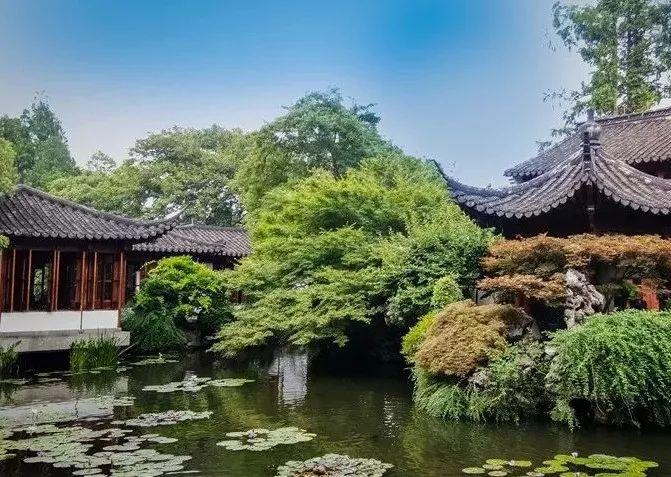 振词有哪些_振振有词_杨振林与翁帆有孩子吗