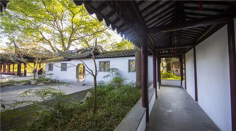 振振有词_振词有哪些_杨振林与翁帆有孩子吗