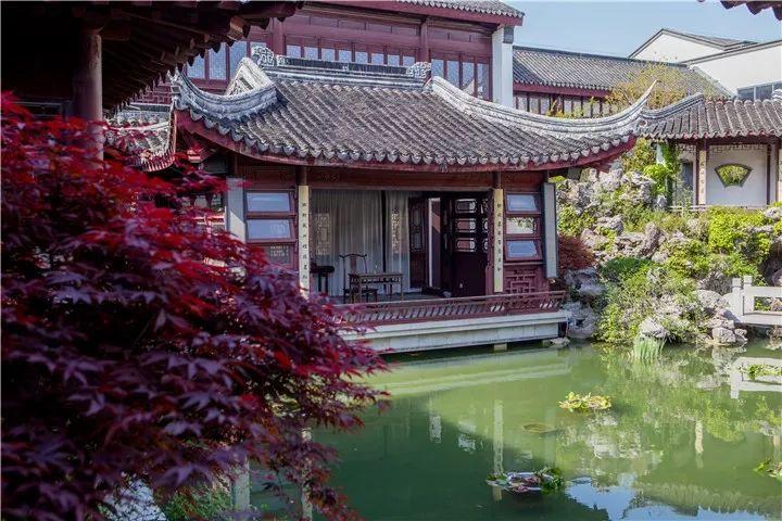 杨振林与翁帆有孩子吗_振词有哪些_振振有词