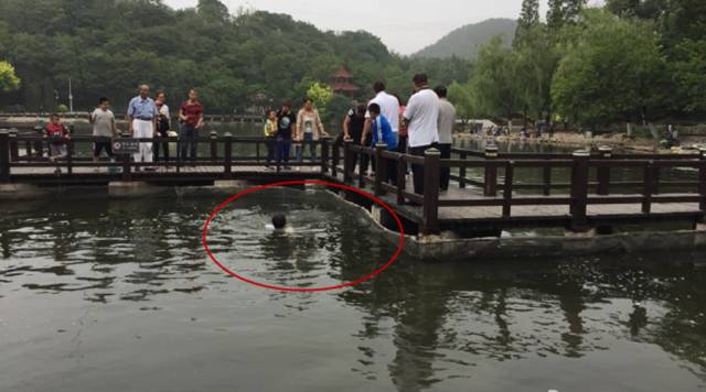 大连植物园开放时间_大连植物园公交车路线怎么走_大连植物园