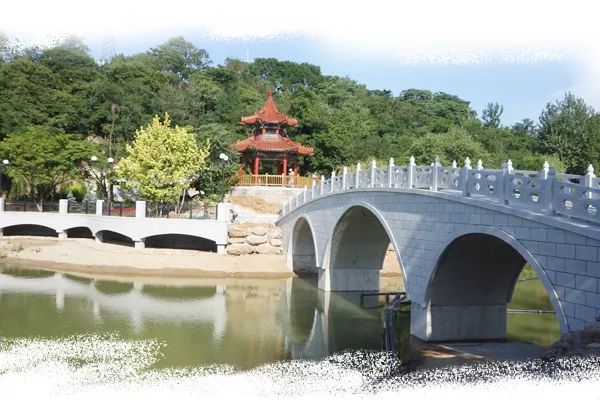 大连植物园开放时间_大连植物园_大连植物园景点介绍