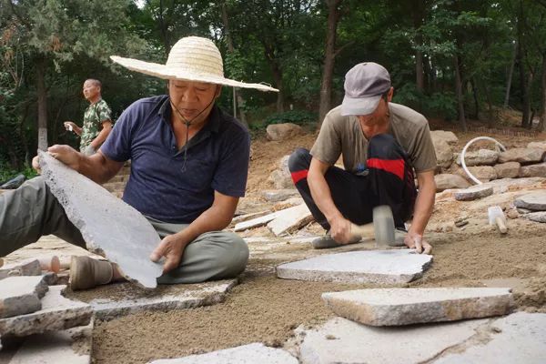 大连植物园景点介绍_大连植物园开放时间_大连植物园