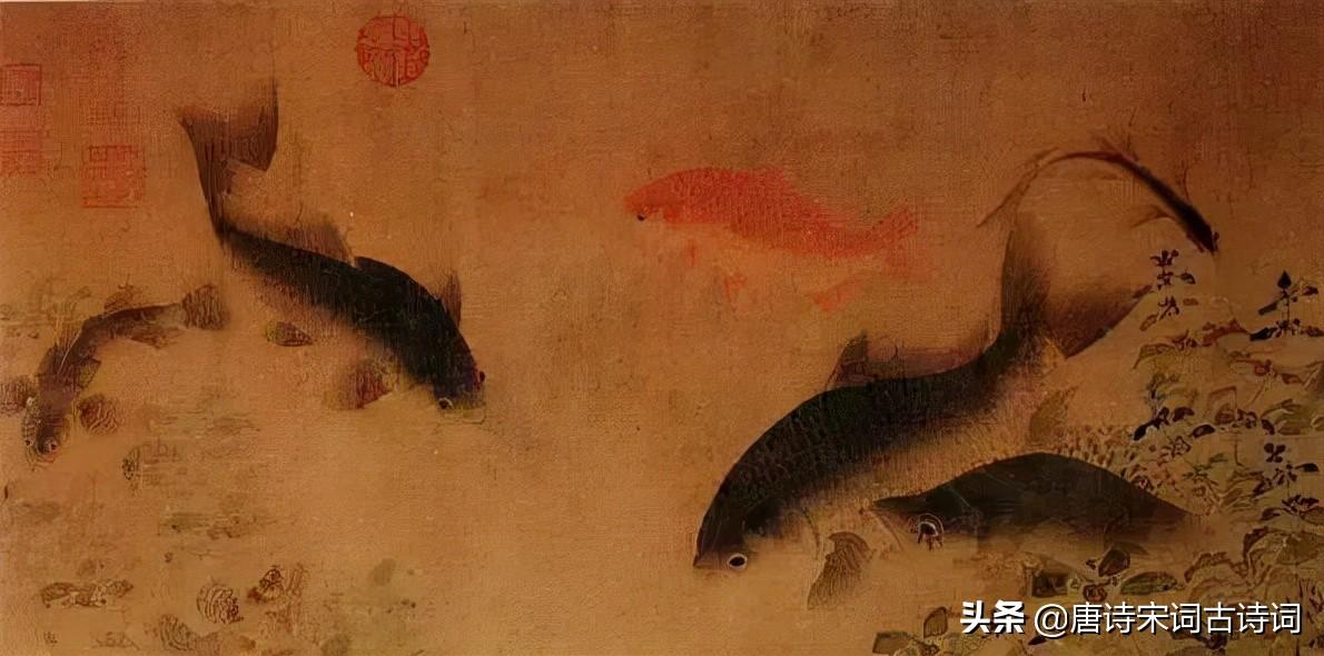 白话大全_大白话_白话大头虾是什么意思