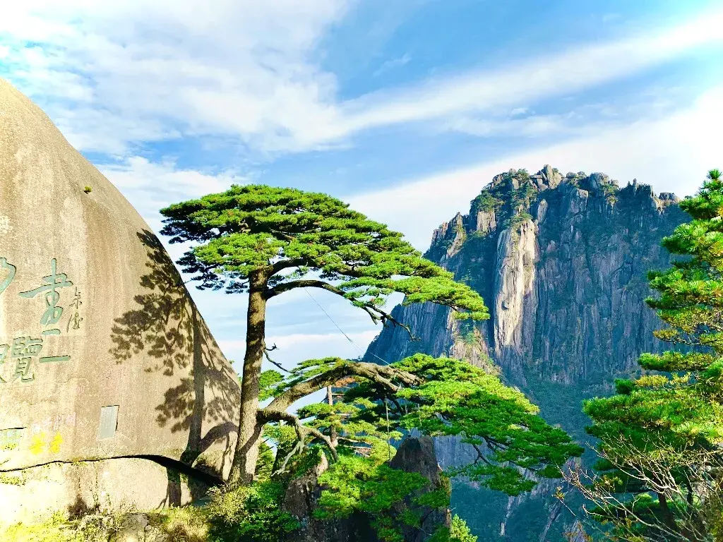 树莓_树_树獭