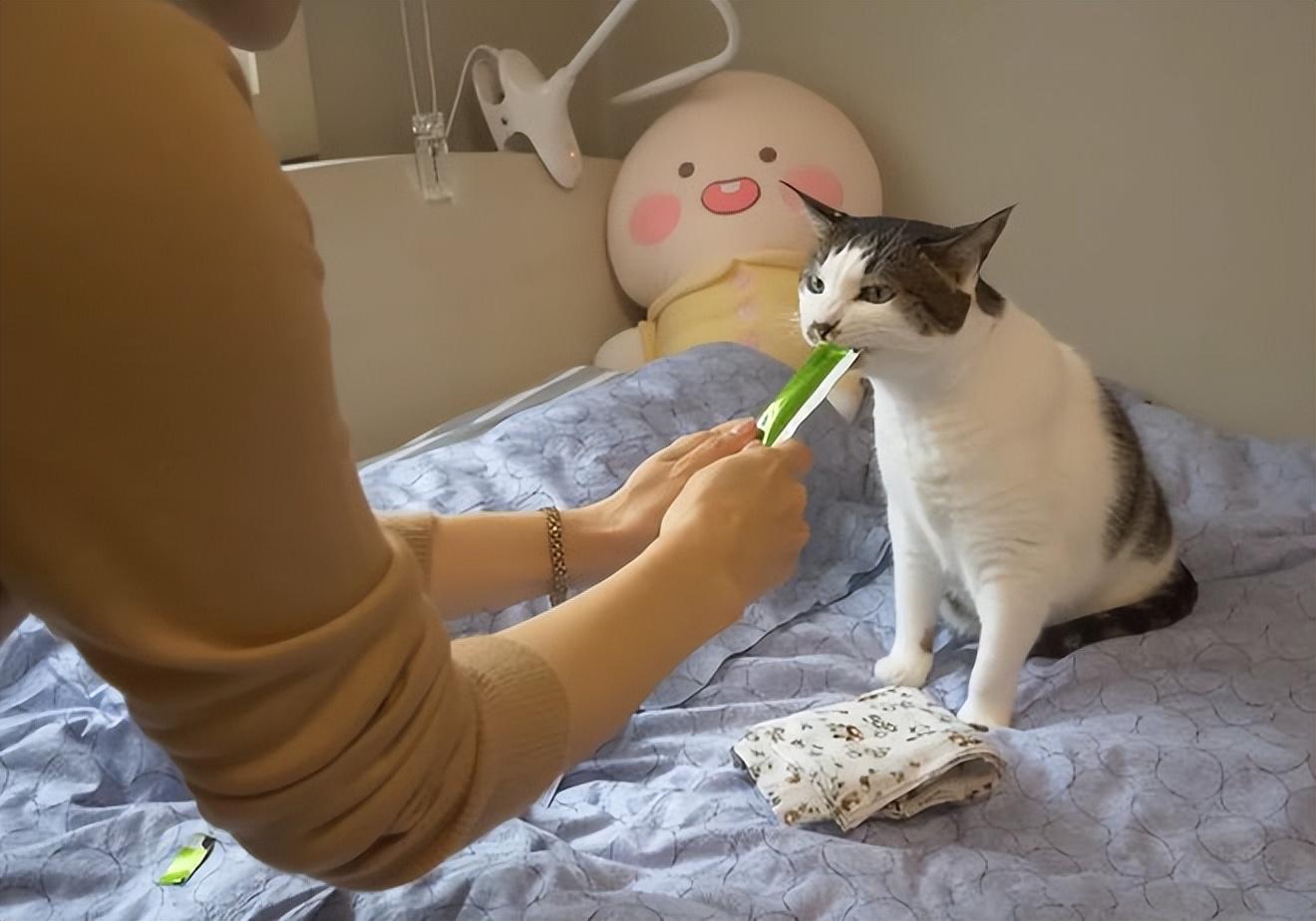 烦厌感_烦厌的英文_不厌其烦