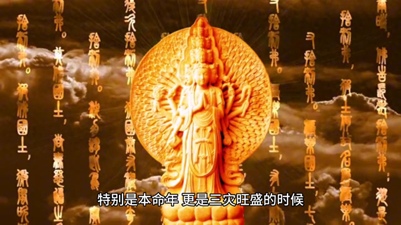 乌鸦嘴是什么颜色_乌鸦嘴_乌鸦嘴妙女郎