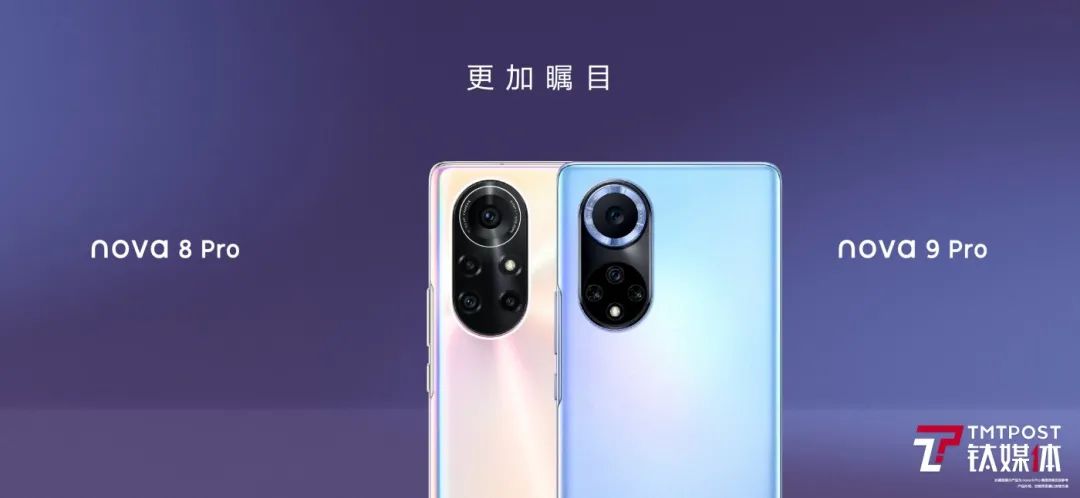 nov_nov是几月份_nov是几月
