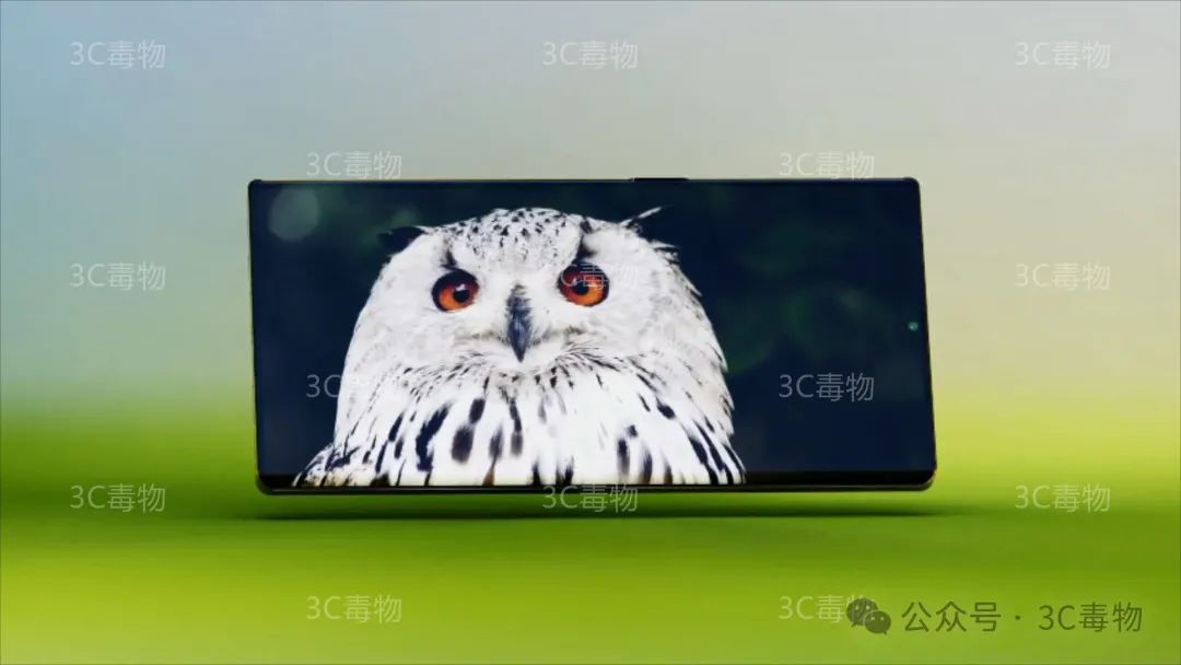 nov是几月_nov是几月份_nov