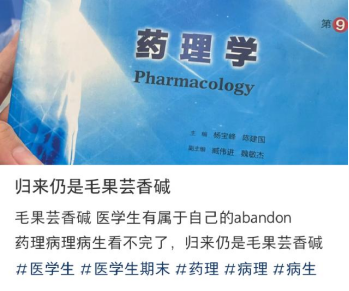 bandoneon什么意思_扳动_bandon