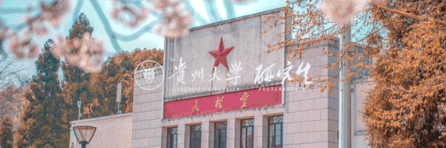 坂东龙汰_bandoneon什么意思_bandon