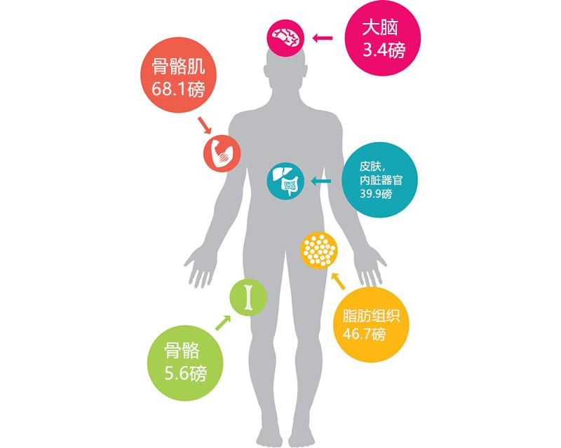 跌停是什么意思啊_跌停怎么卖出最快_dieting