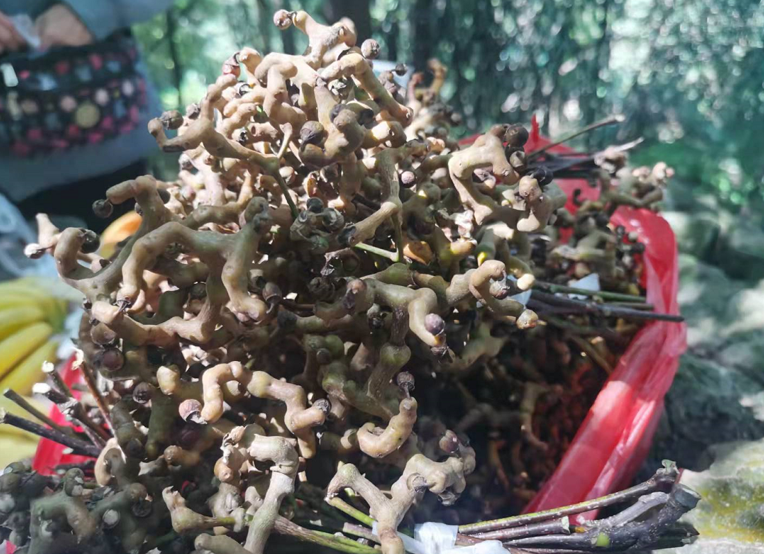 凌虚阁_凌虚阁_凌虚阁