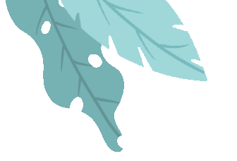 envato翻译_envato官方网站_envato