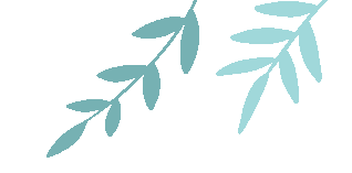 envato官方网站_envato翻译_envato