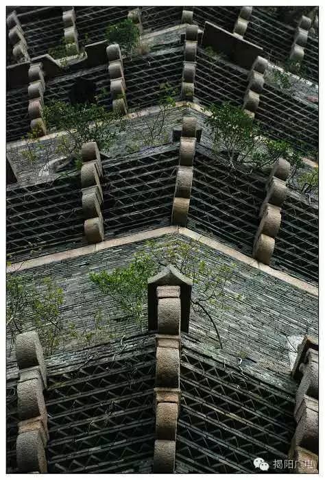 耸_耸怎么读_耸