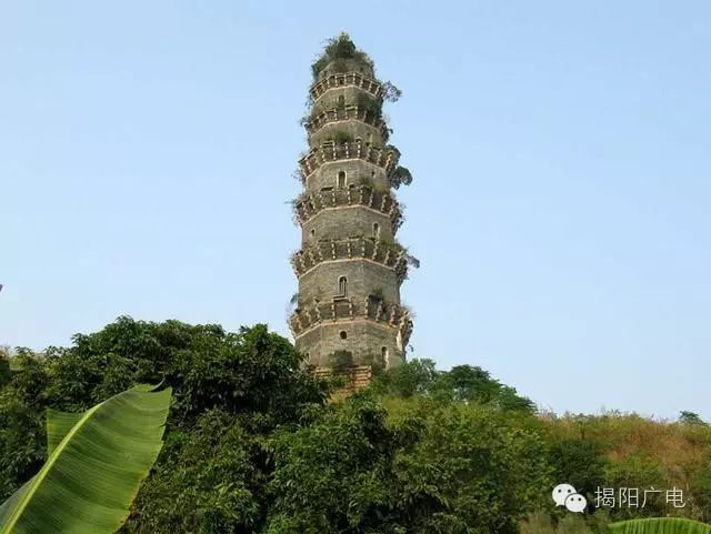 耸_耸怎么读_耸