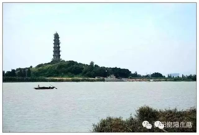 耸_耸怎么读_耸