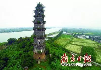 耸_耸怎么读_耸