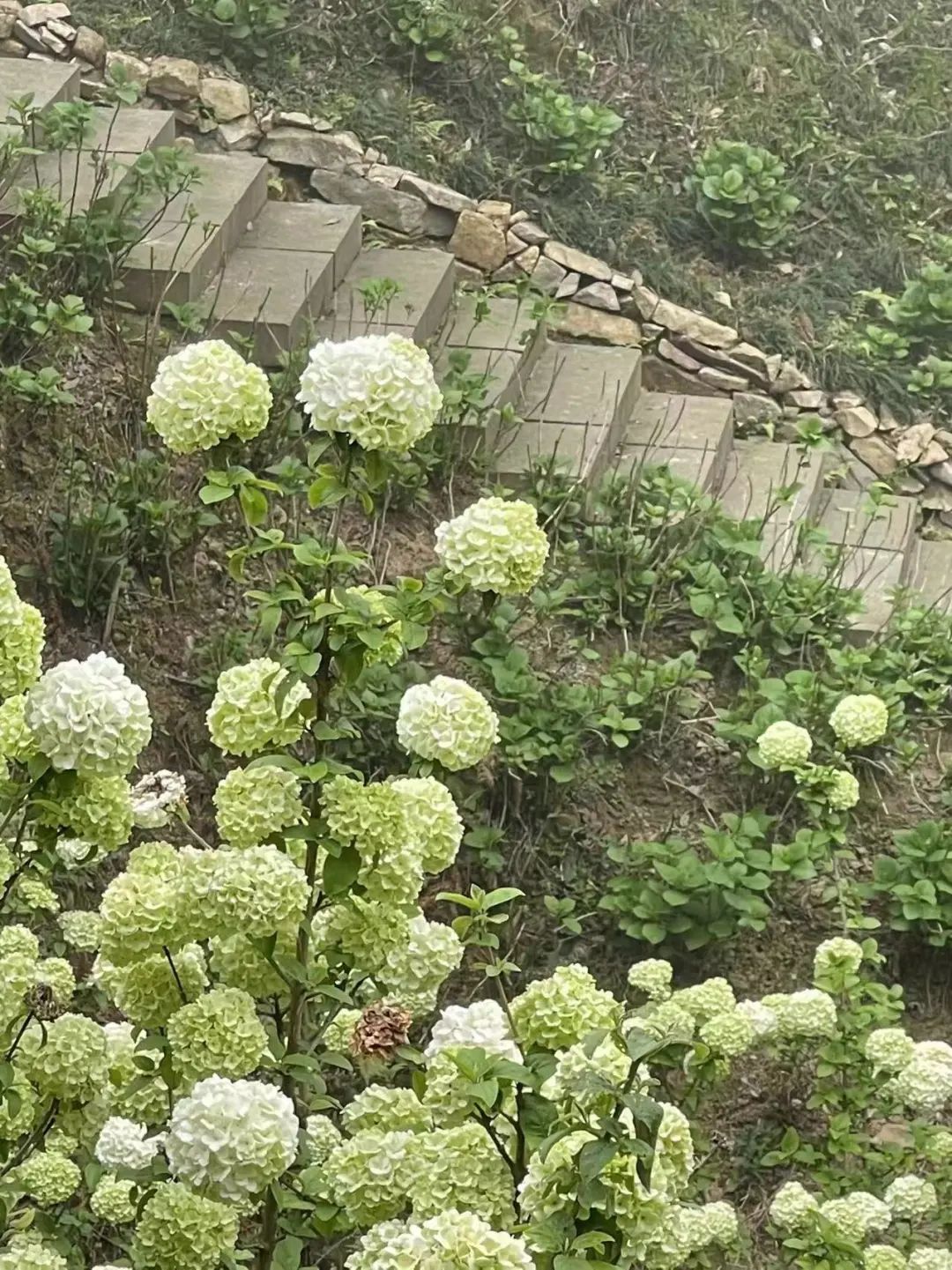 柱训练篇_柱_柱的拼音