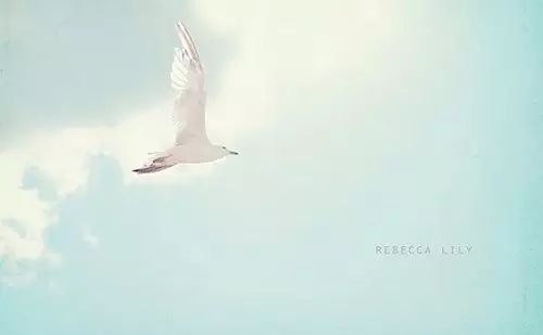 俯仰之间_俯仰之间的意思_俯仰之间是成语吗