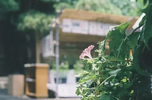 俯仰之间的意思_俯仰之间_俯仰之间是成语吗