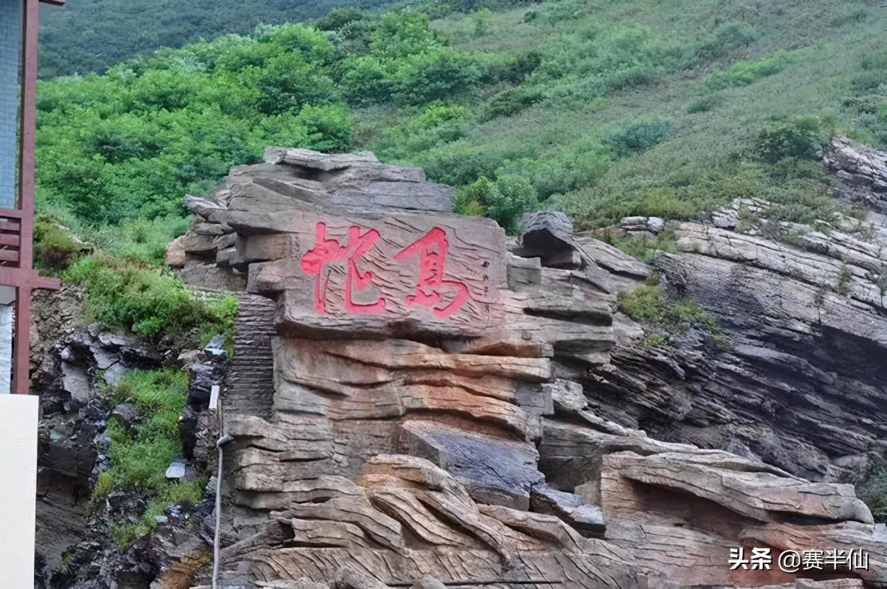 神龙岛_神龙岛岛主_神龙岛在哪