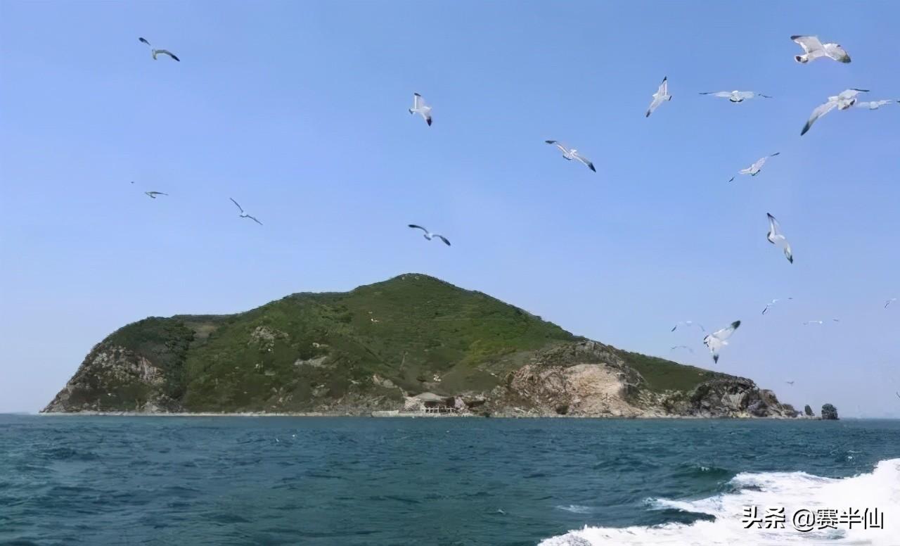 神龙岛岛主_神龙岛在哪_神龙岛