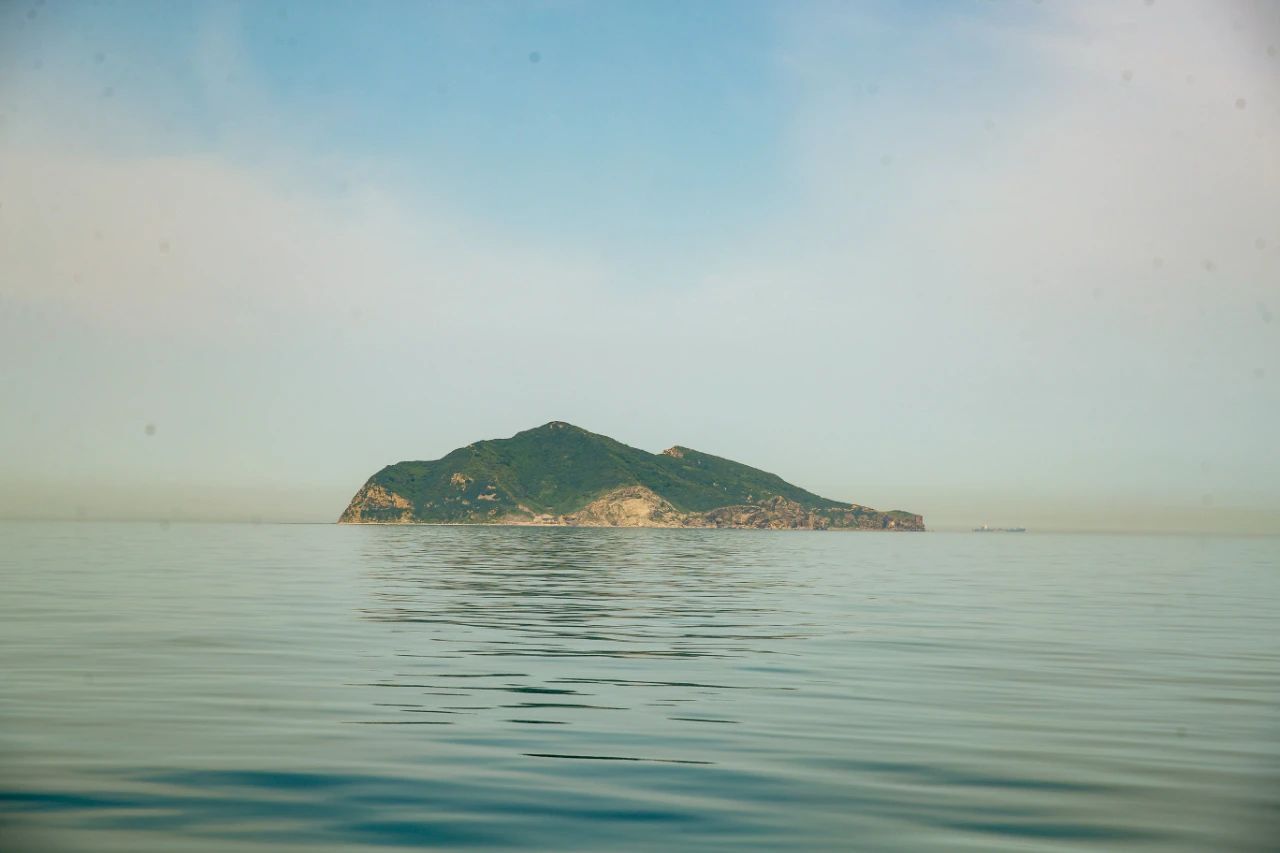 神龙岛胖瘦头陀_神龙岛_神龙岛口号