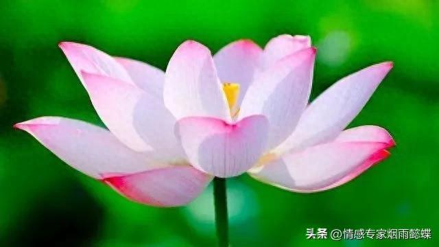贵大于富_大富大贵中的大贵什么意思_大富大贵