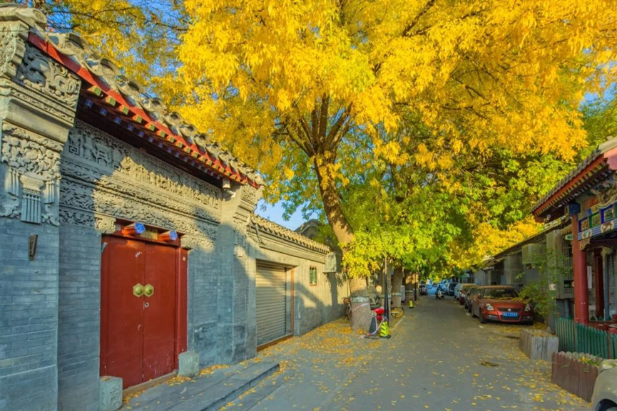 delving怎么读_delving_delvinginto