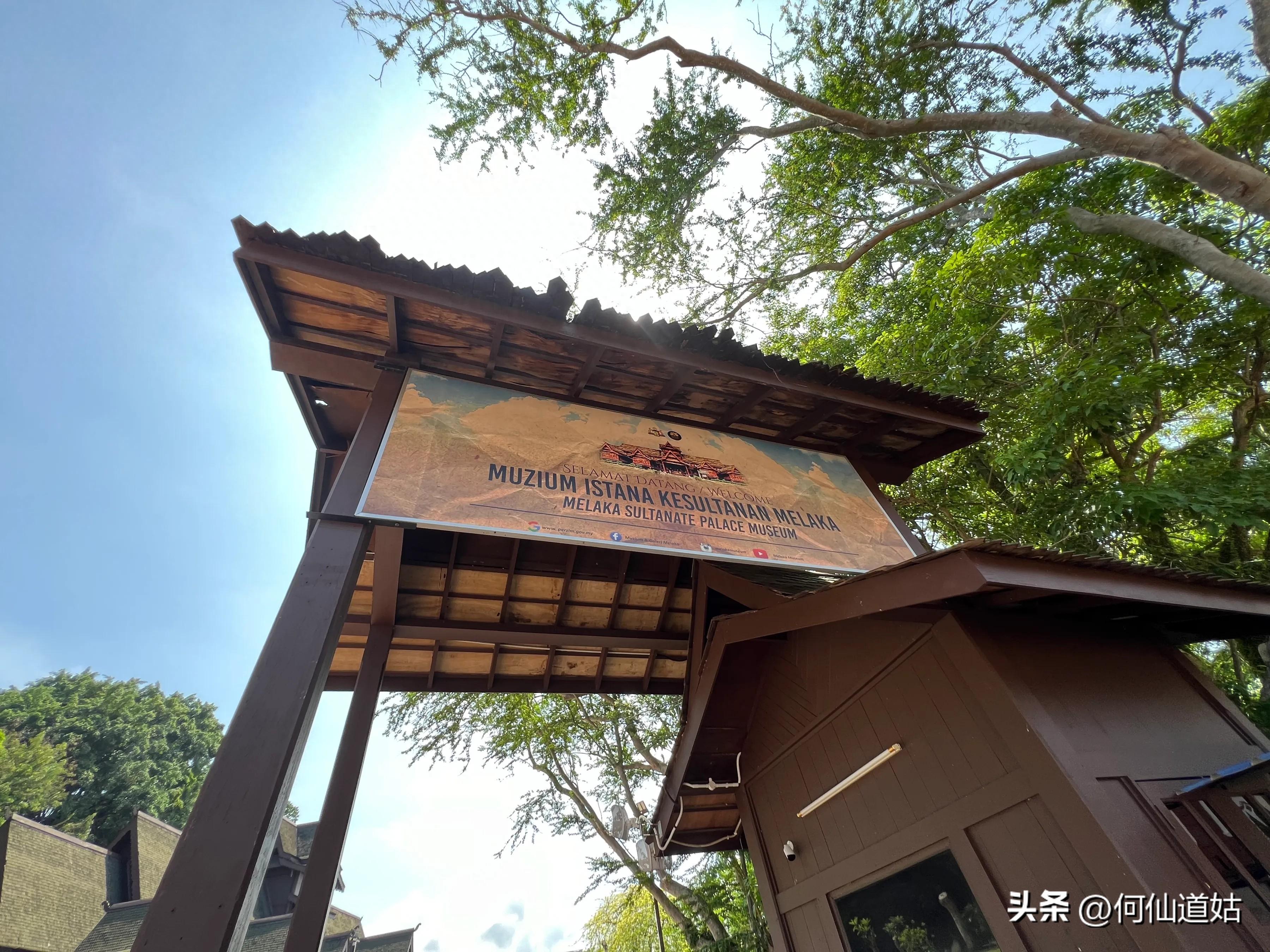 苏丹王_苏丹王榴莲和猫山王榴莲的区别_苏丹王朝